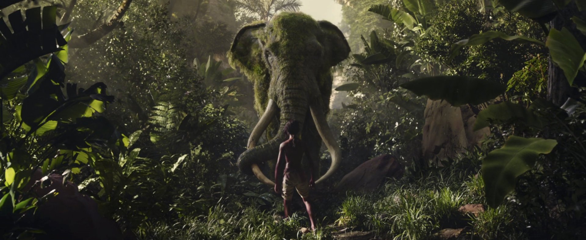 Mowgli Legenda Junglei